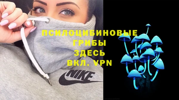 индика Абдулино